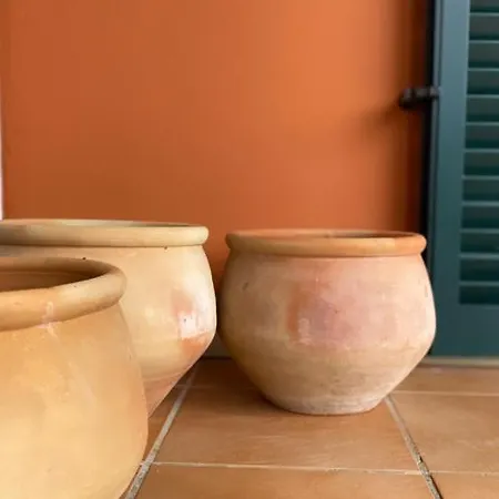 Σπίτι διακοπών A Casa Minhas Netas