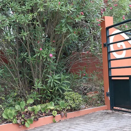 Σπίτι διακοπών A Casa Minhas Netas *